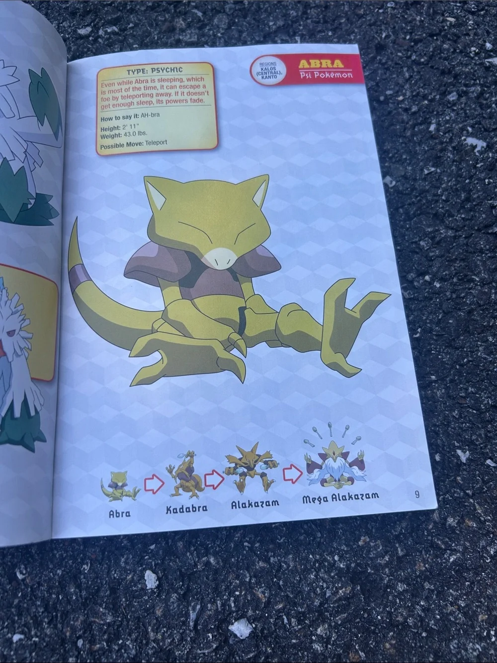 Pokemon Guide Set - Yellow & Multicolor Covers. Both for $12